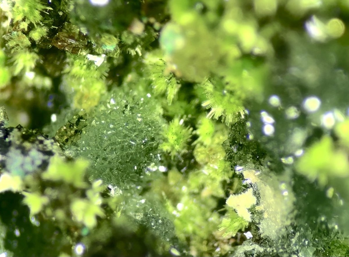 Arthurite, Scorodite