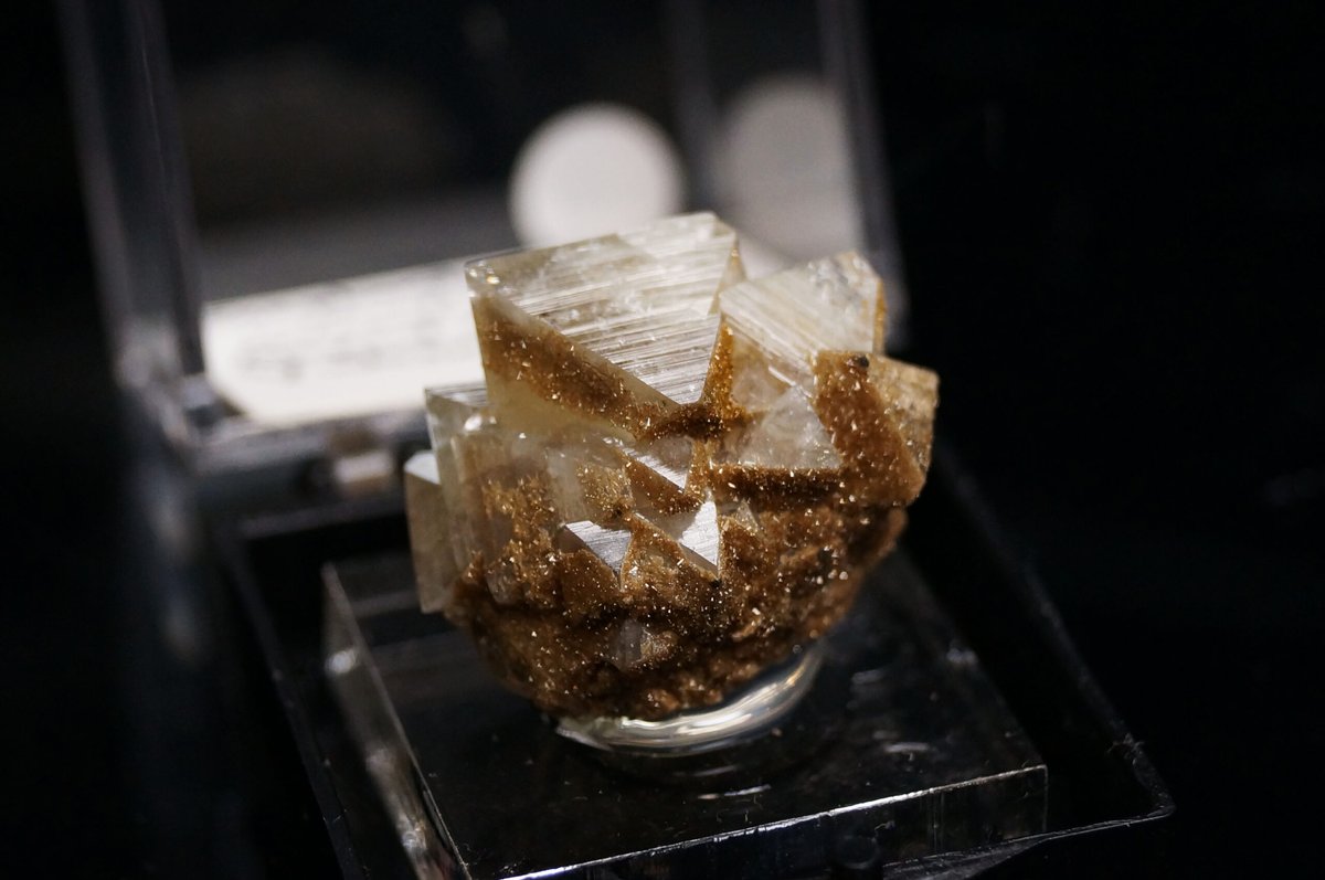 Wardite