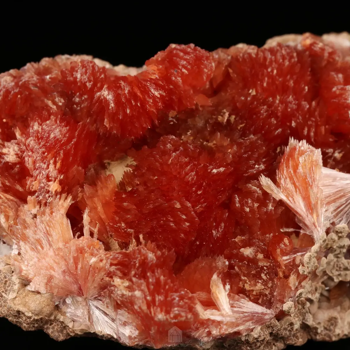 Inesite
