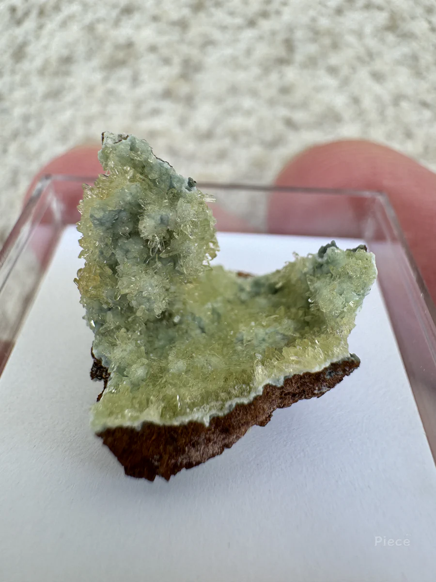 Senegalite