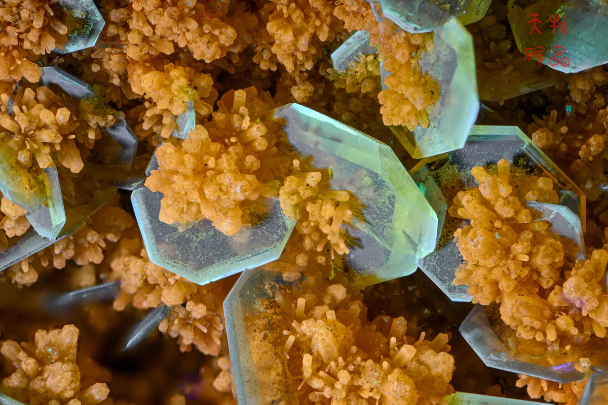 Wulfenite, Mimetite