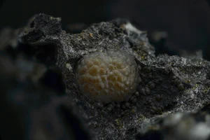 Calcite