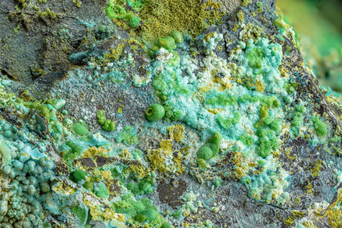 Azurite, Malachite, Volborthite, Chrysocolla