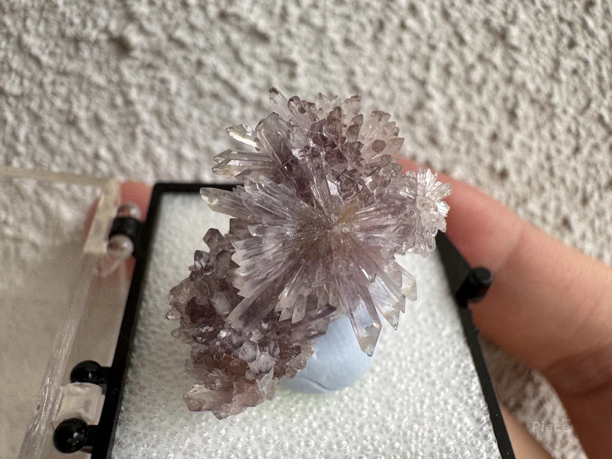 Creedite