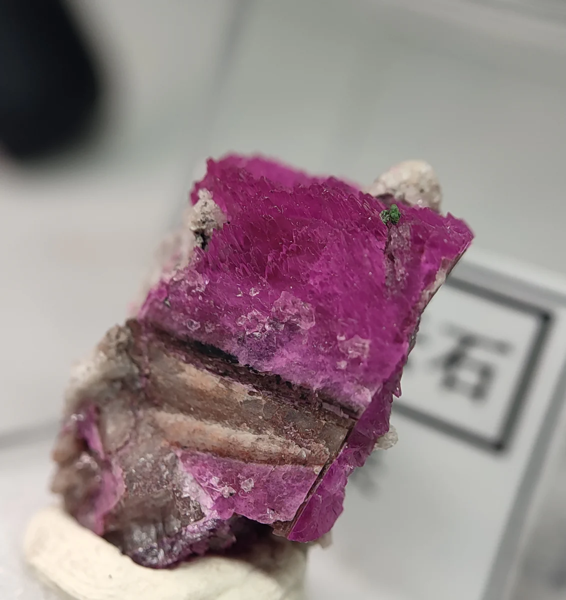 Cobalt-bearing Dolomite