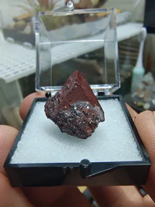 Zunyite