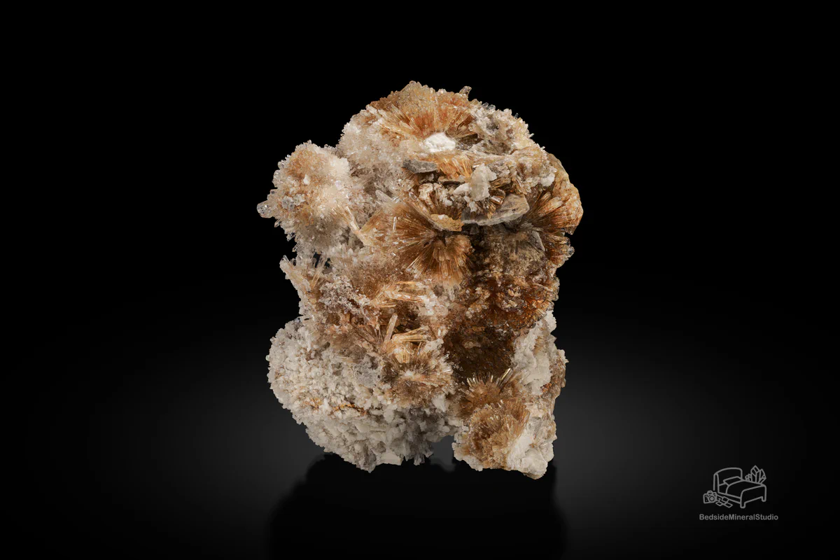 Creedite
