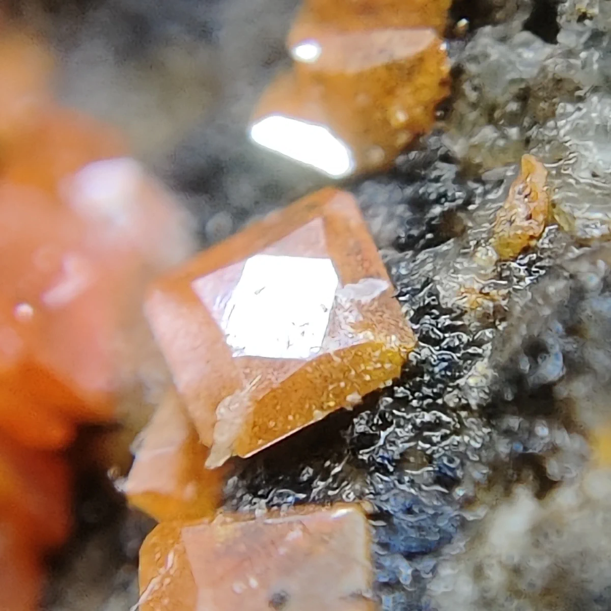 Wulfenite
