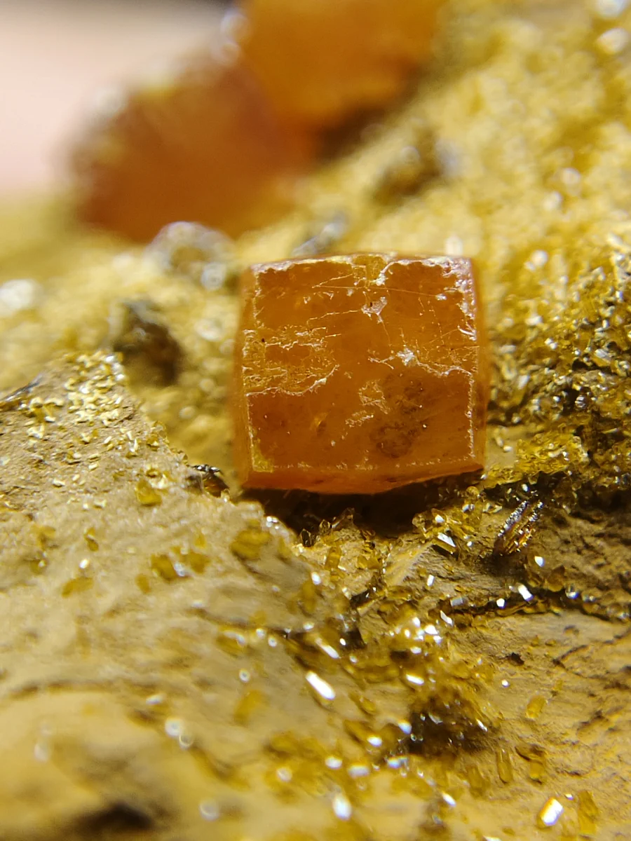 Wulfenite
