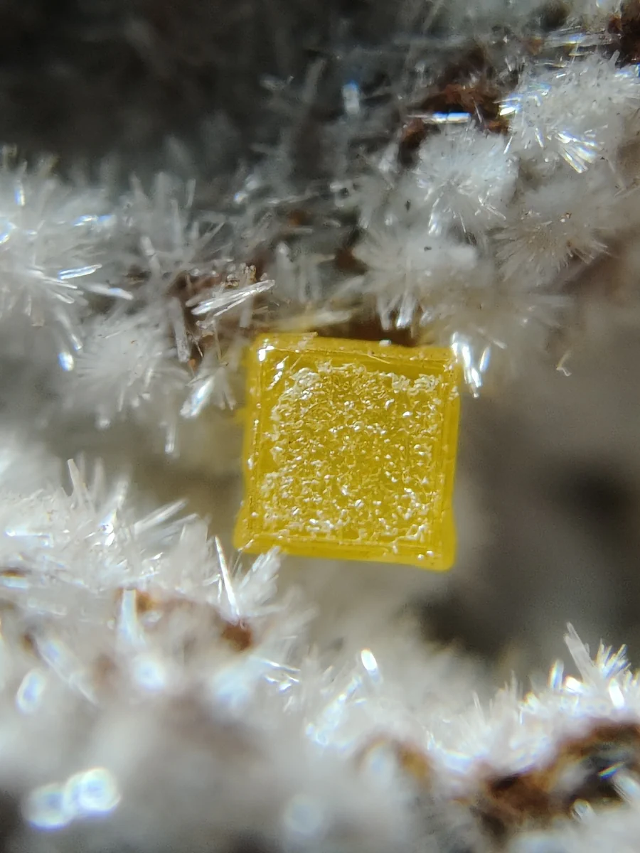 Wulfenite, Willemite