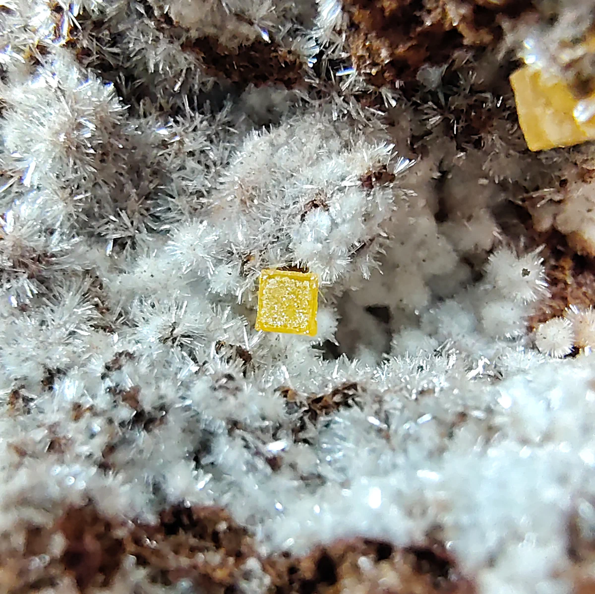 Wulfenite, Willemite
