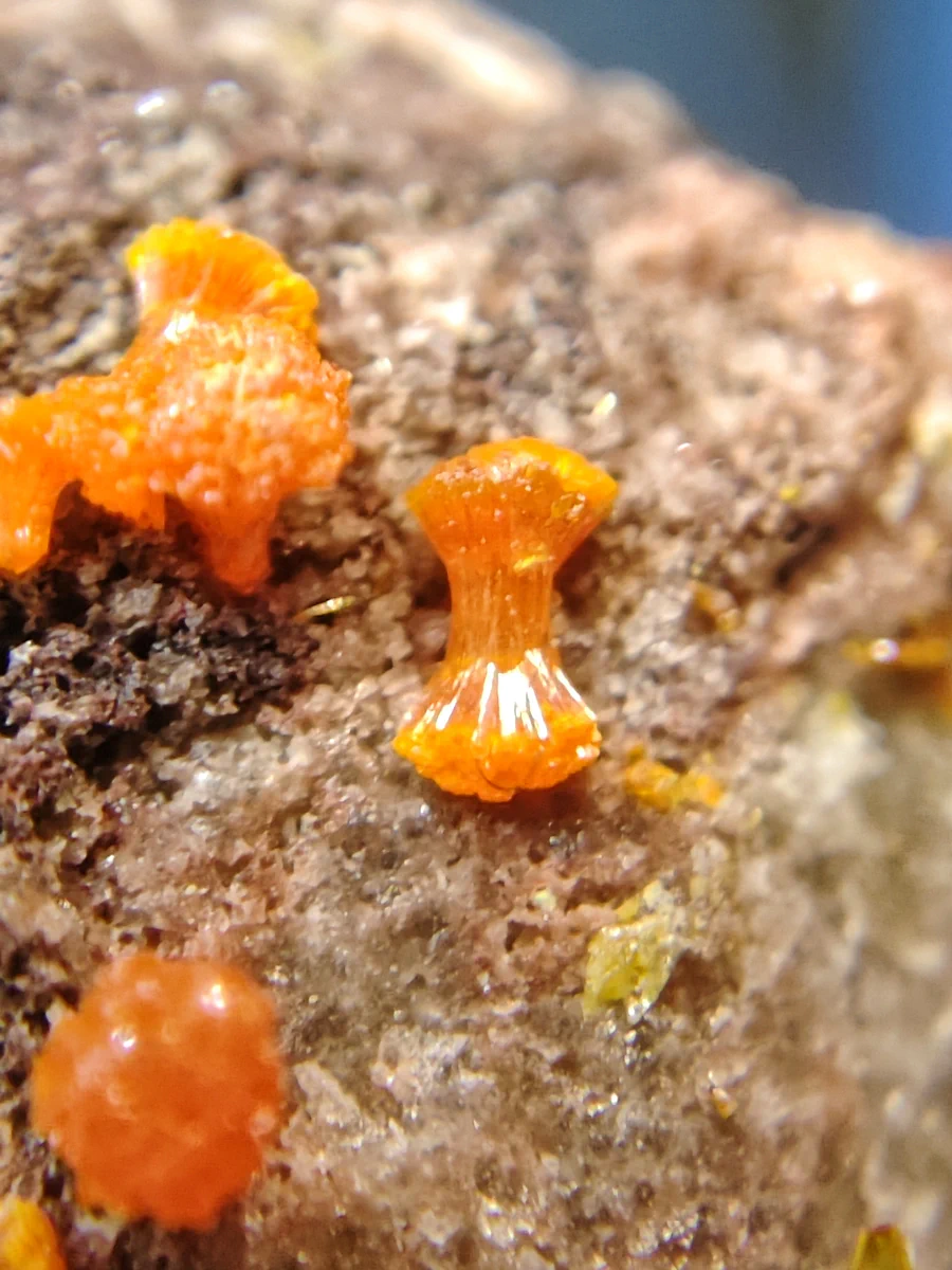 Mimetite, Wulfenite