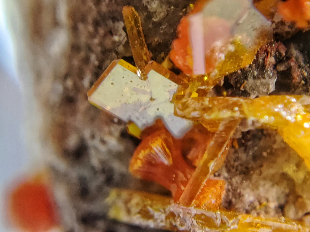 Mimetite, Wulfenite