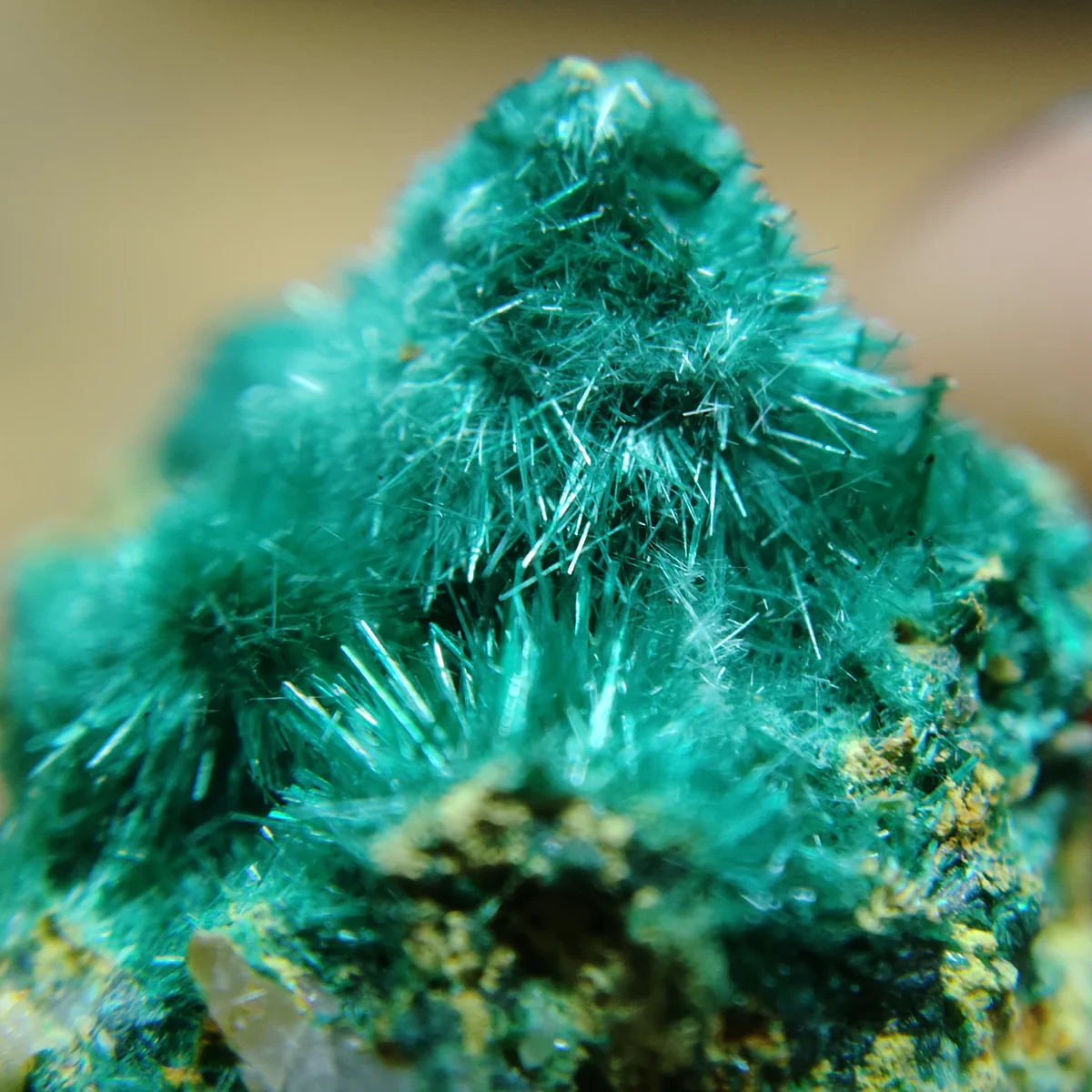 Brochantite