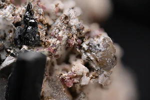 Petarasite
