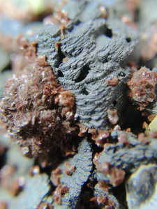 Galena, Sphalerite