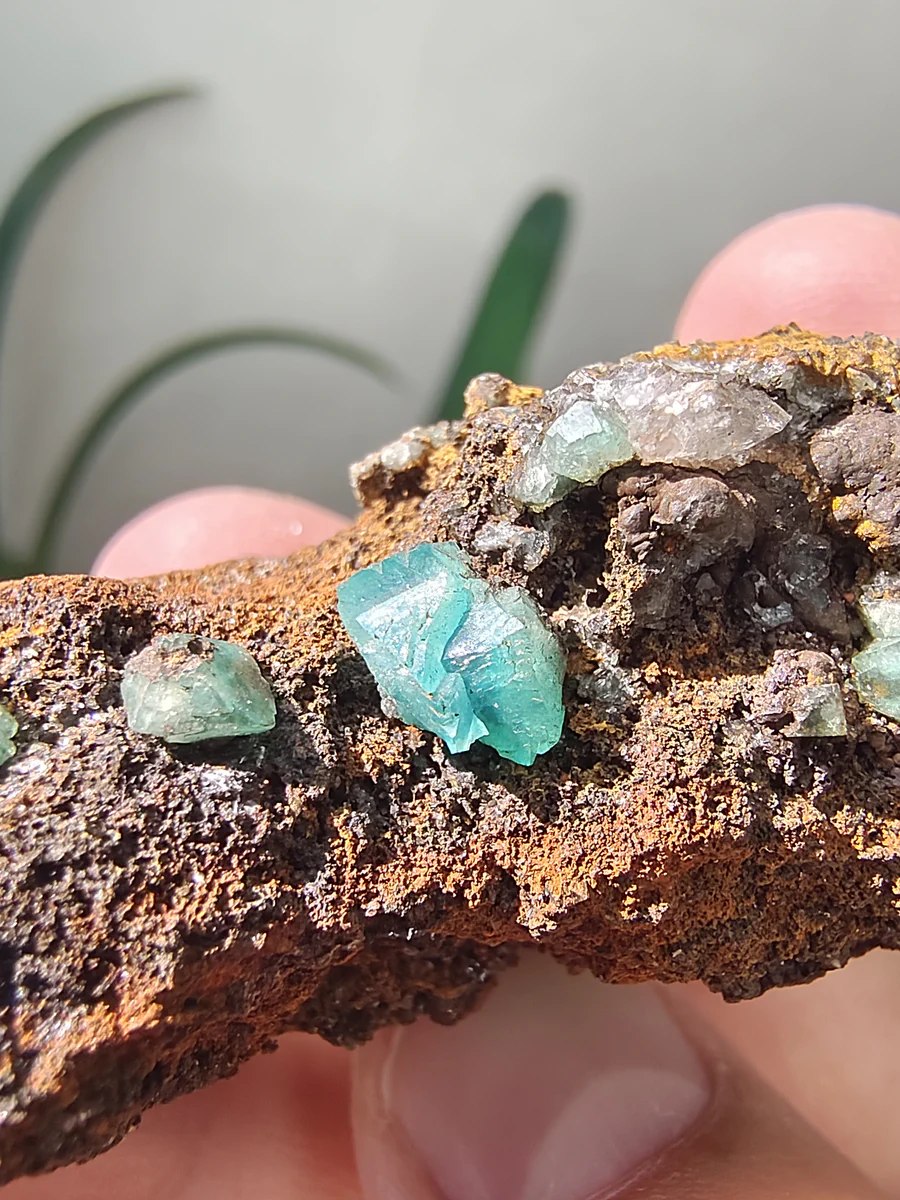 Adamite