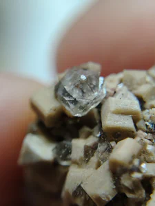 Fluorite, Orthoclase, Quartz