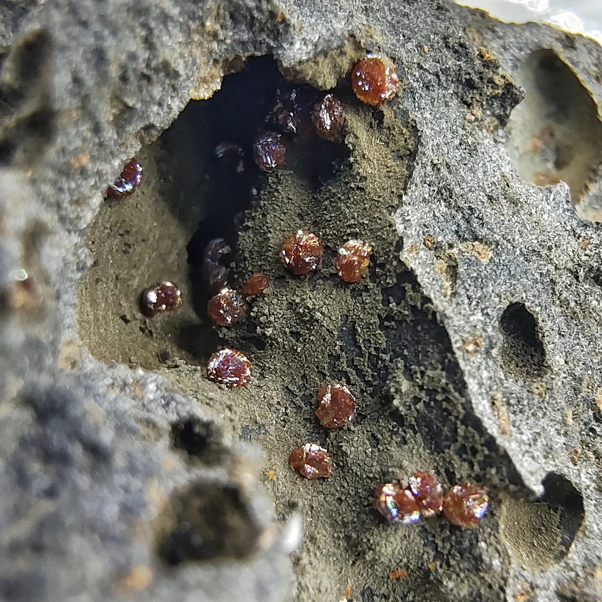 Siderite