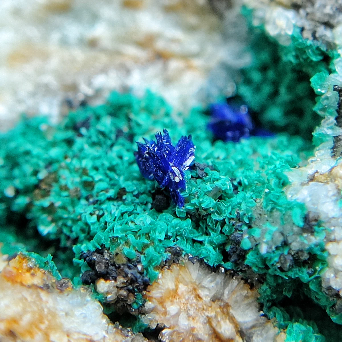 Azurite, Conichalcite, Siderite