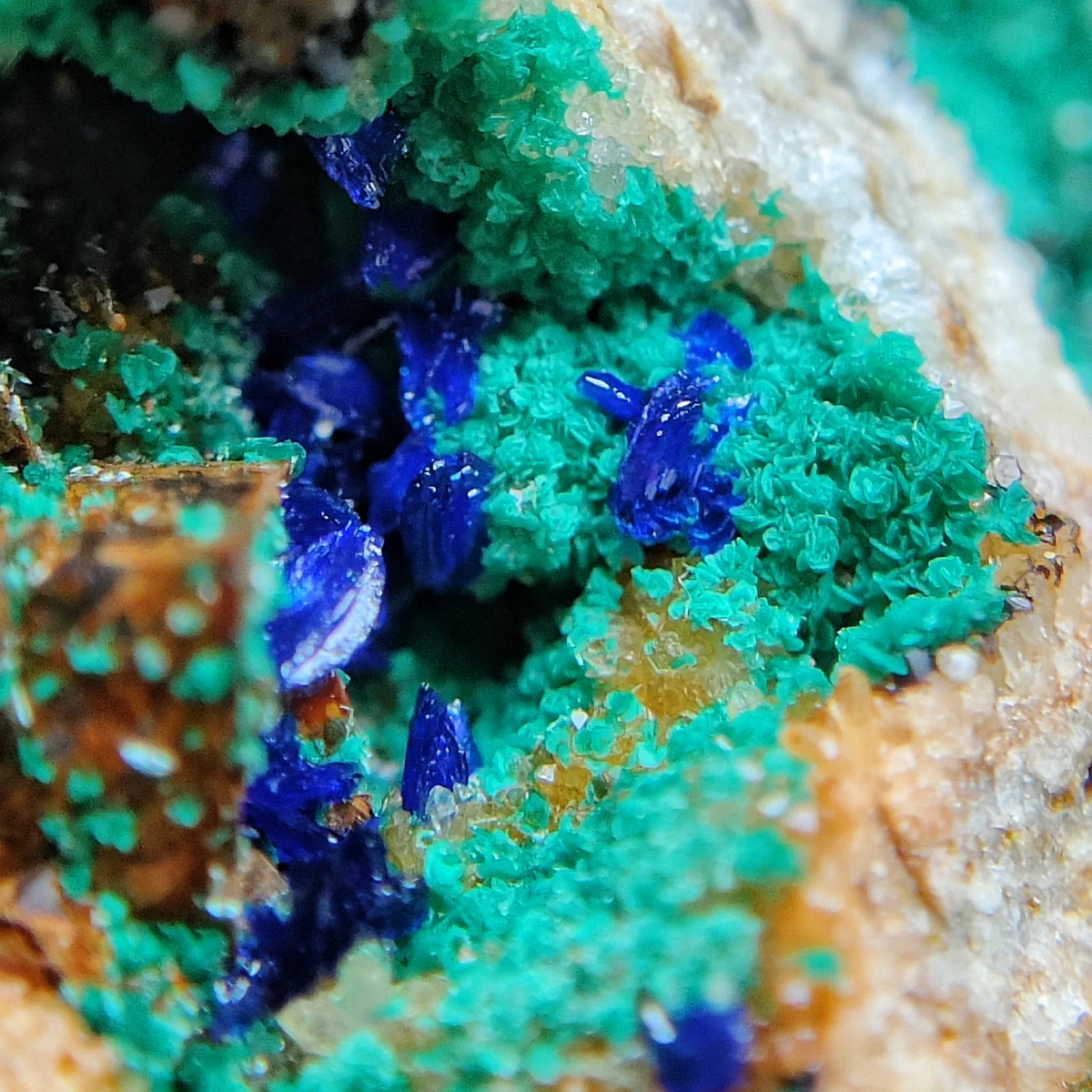 Azurite, Conichalcite, Siderite